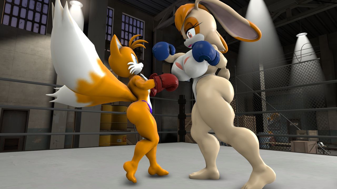[TheHumbleFellow] Sparring (Sonic the Hedgehog) 13