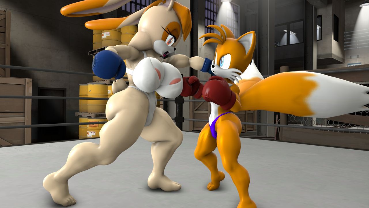 [TheHumbleFellow] Sparring (Sonic the Hedgehog) 14