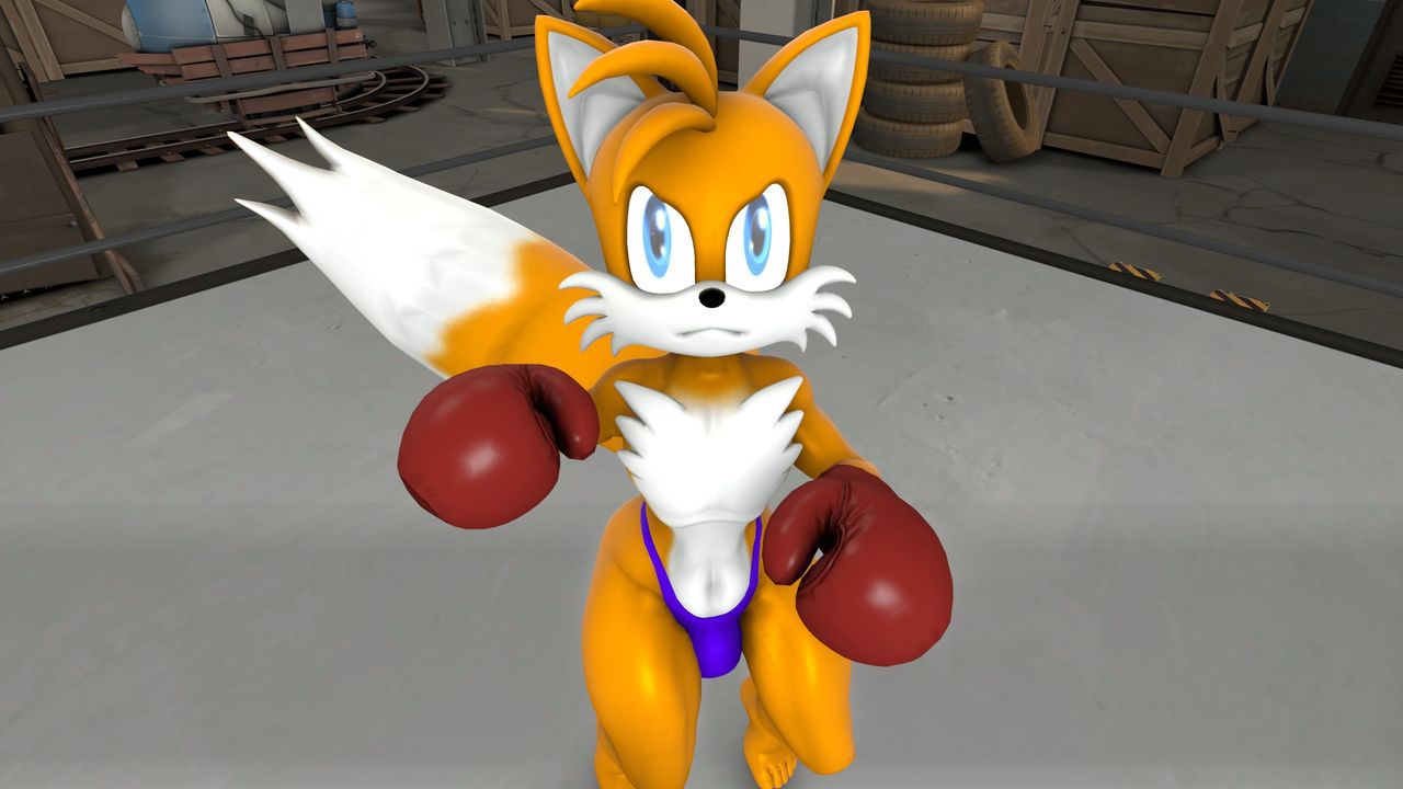 [TheHumbleFellow] Sparring (Sonic the Hedgehog) 17