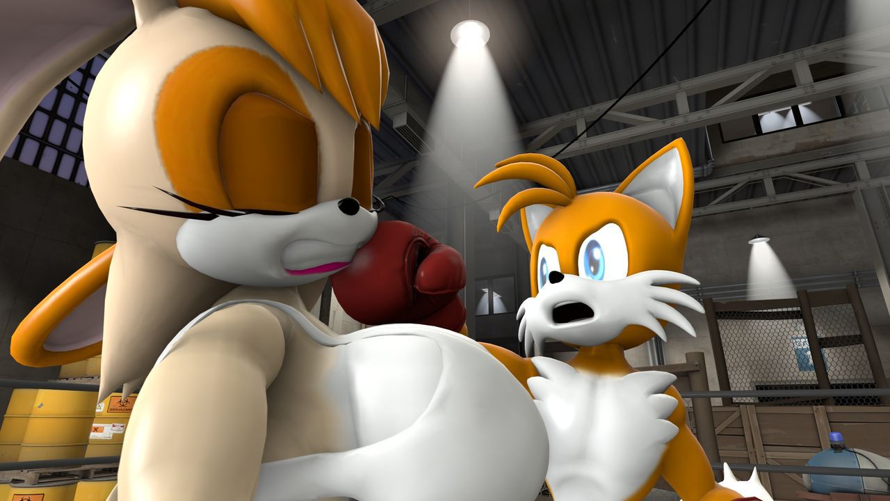 [TheHumbleFellow] Sparring (Sonic the Hedgehog) 20