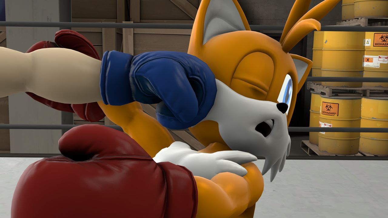 [TheHumbleFellow] Sparring (Sonic the Hedgehog) 41