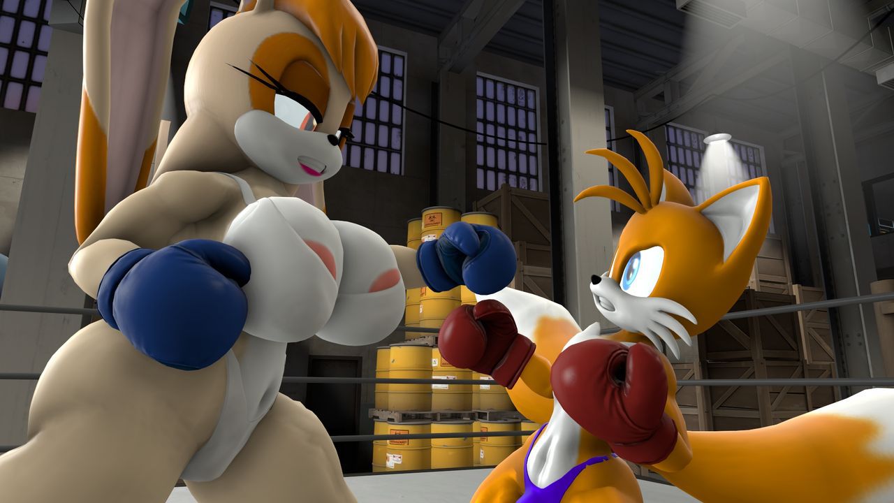 [TheHumbleFellow] Sparring (Sonic the Hedgehog) 46