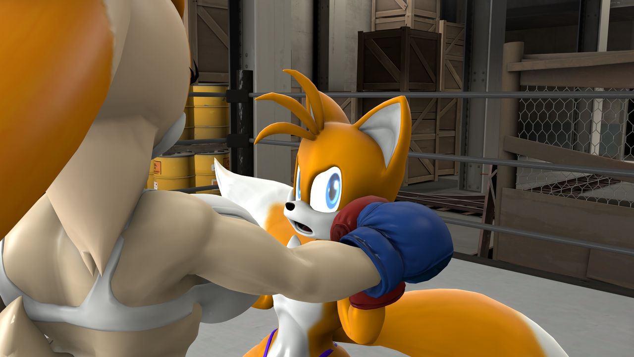 [TheHumbleFellow] Sparring (Sonic the Hedgehog) 47