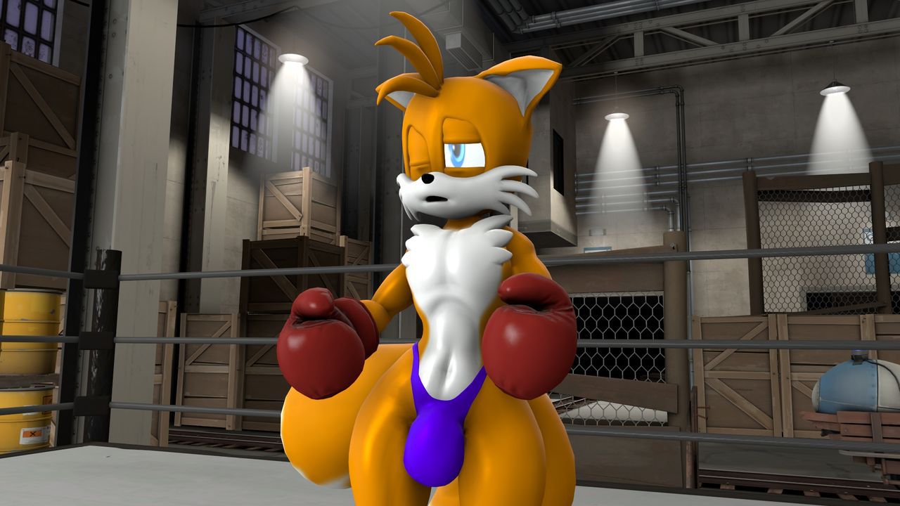 [TheHumbleFellow] Sparring (Sonic the Hedgehog) 55