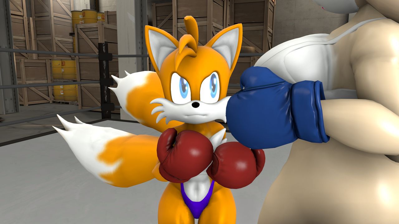 [TheHumbleFellow] Sparring (Sonic the Hedgehog) 7