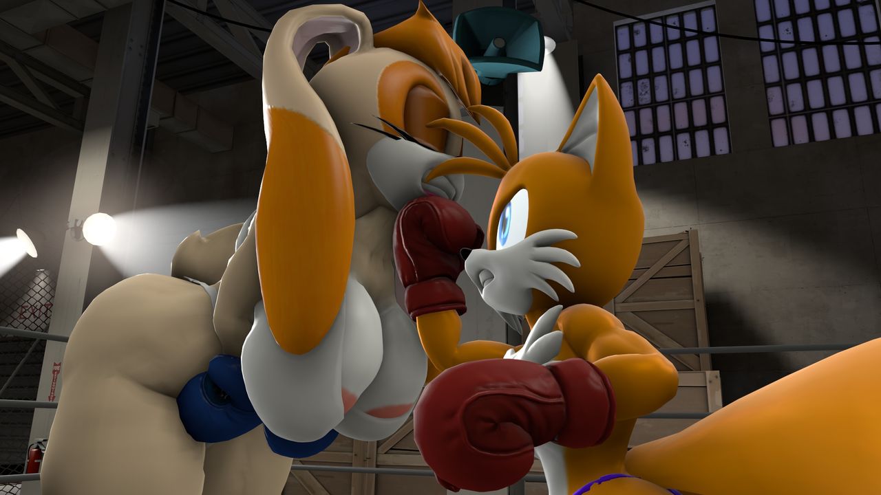 [TheHumbleFellow] Sparring (Sonic the Hedgehog) 70