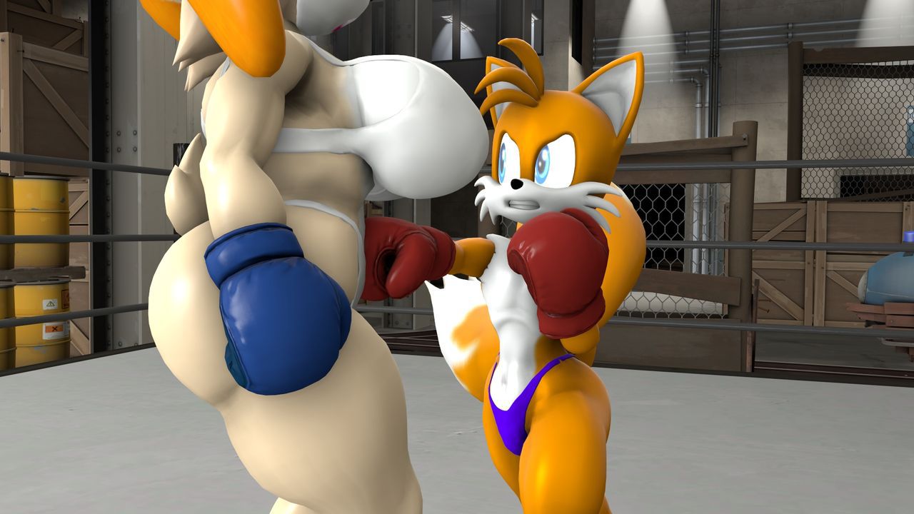 [TheHumbleFellow] Sparring (Sonic the Hedgehog) 8