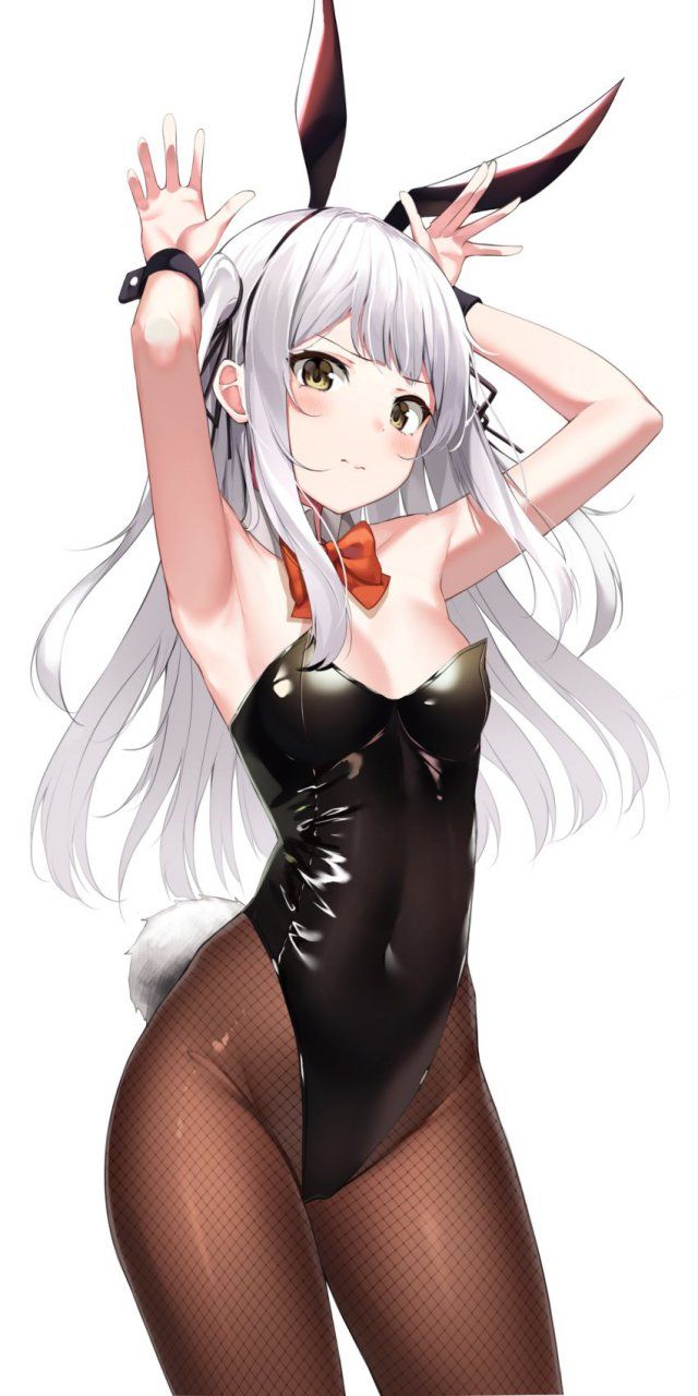 【Secondary】Silver-haired and white-haired girl image Part 26 2