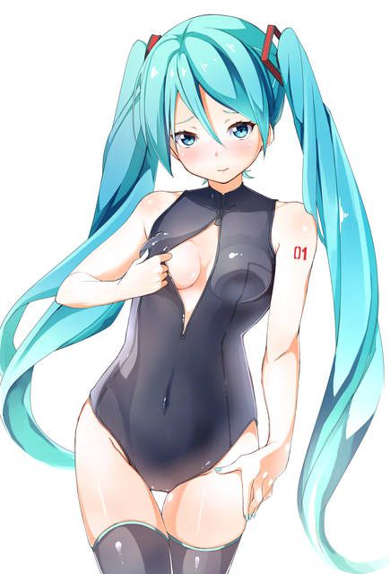 【Secondary Erotica】Vocaloid (Miku-san More) Erotic Image Collection [35 Photos] 28