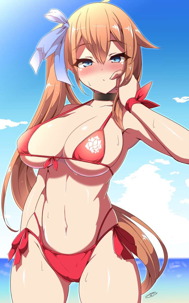 【Sea Story】Secondary erotic image of busty bikini with wind and clouds 37