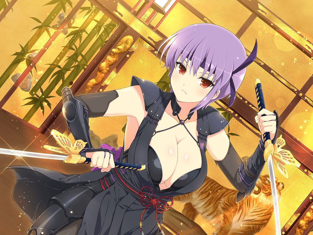 【Image】A game that ended even though it is a doskebe called Senran Kagura 25