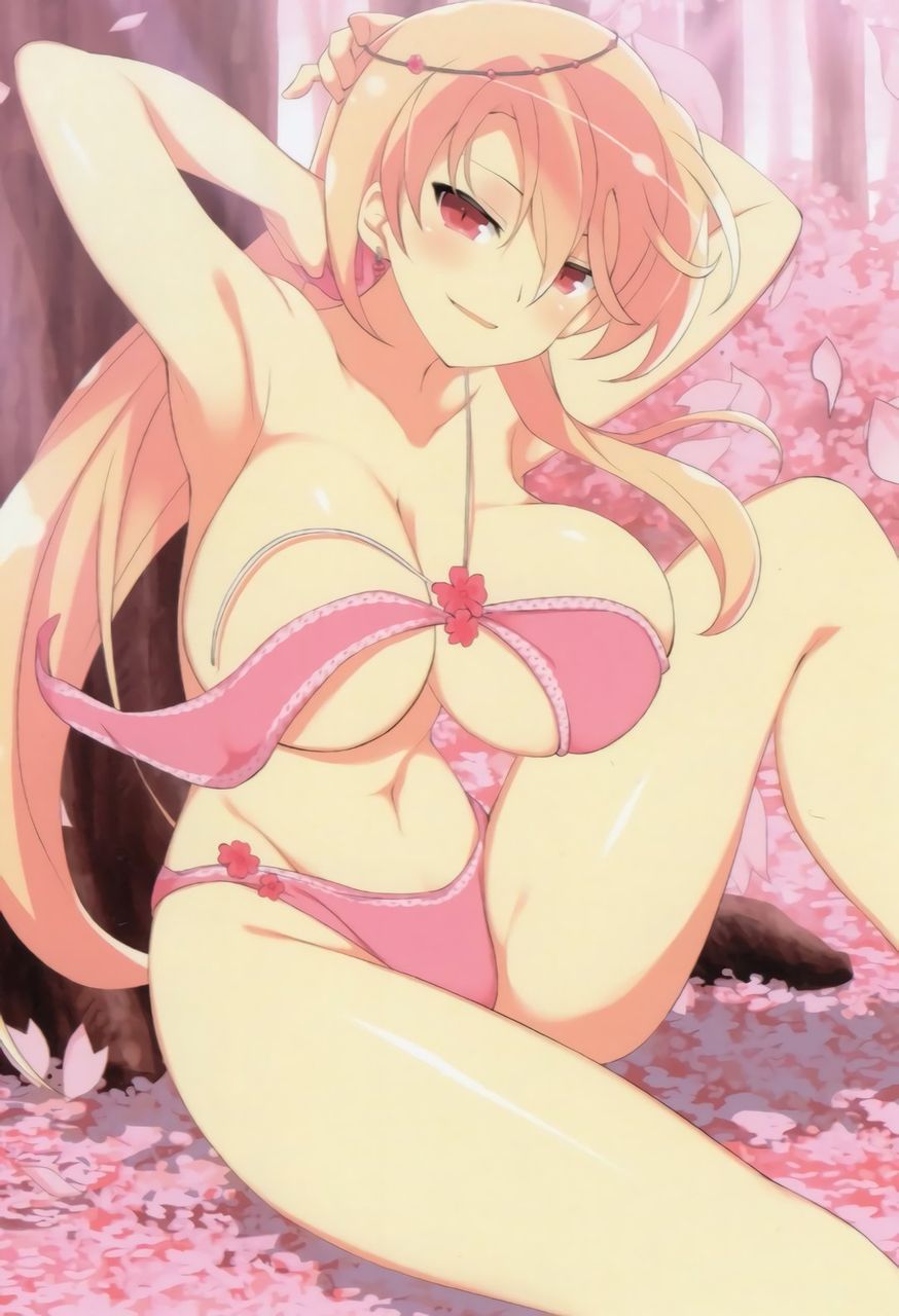 【Secondary Erotic】 Here is the erotic image of the characters appearing in Senran Kagura 13